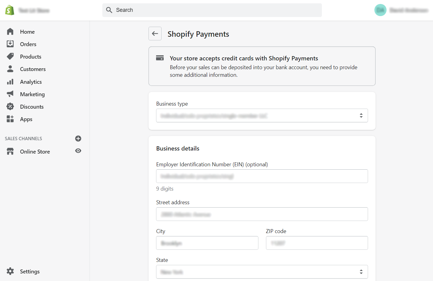 Set up Shopify Payment information - Shopify Payments Review