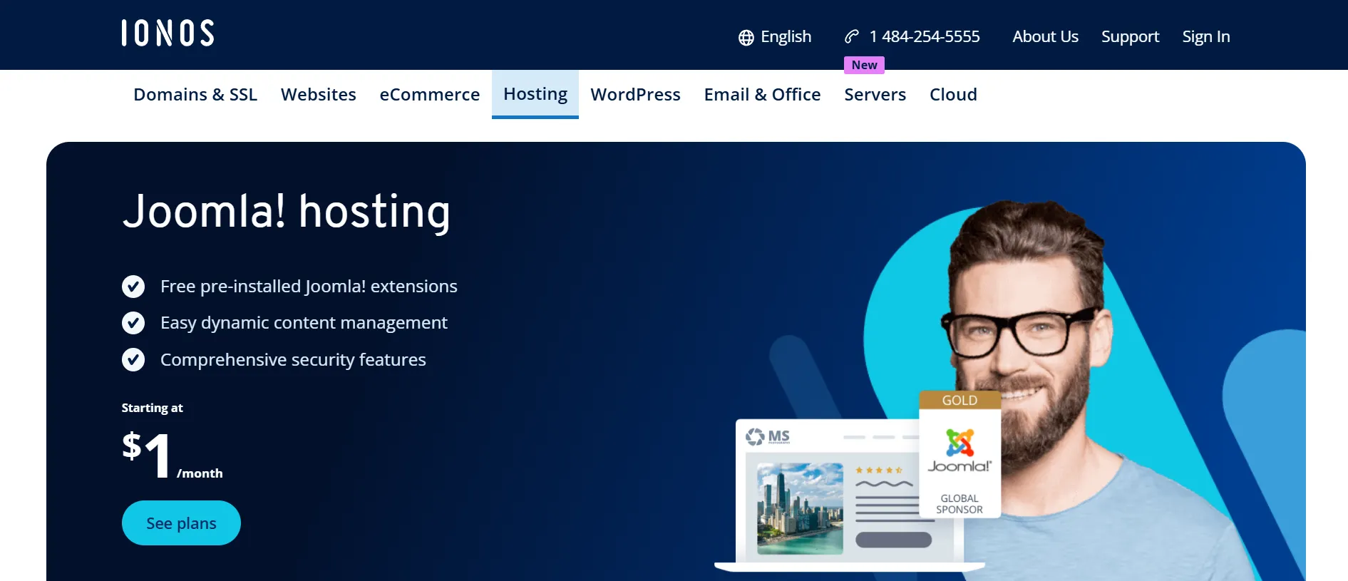 IONOS hosting for Joomla