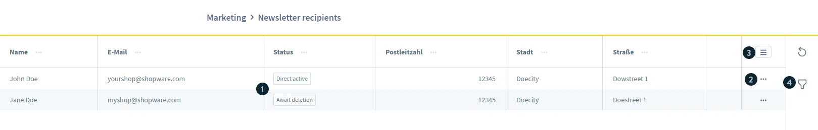 Shopware newsletter recipients settings