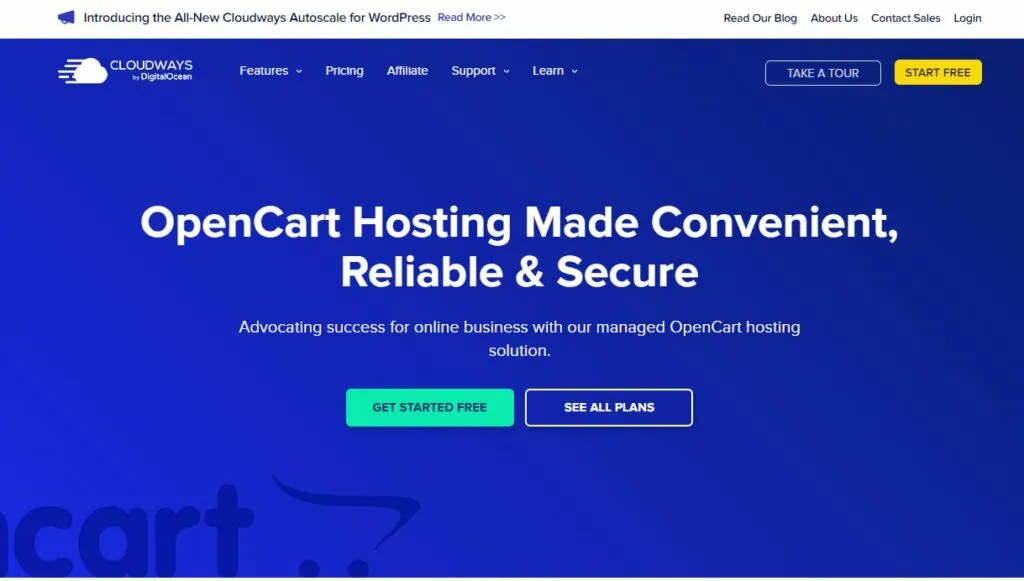 opencart-hosting