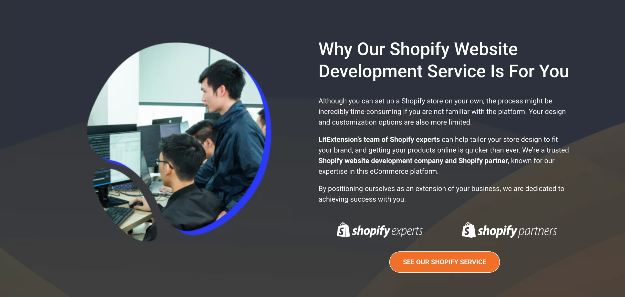 Shopify Store Development Services website development