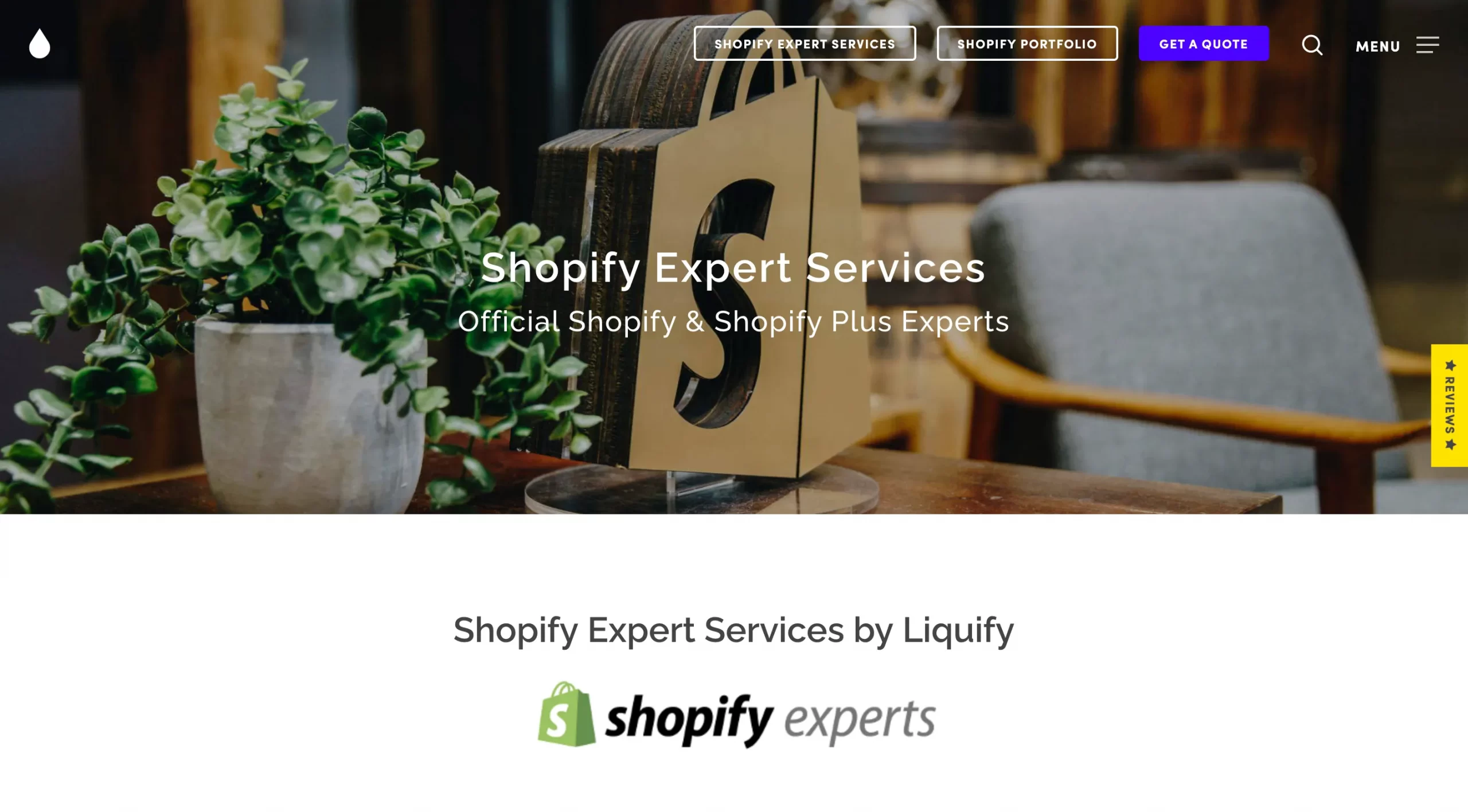 Shopify Store Development Services liquify