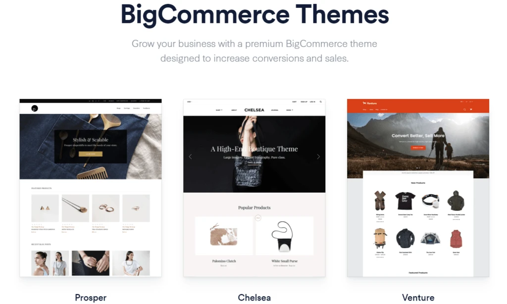 bigcommerce website examples 