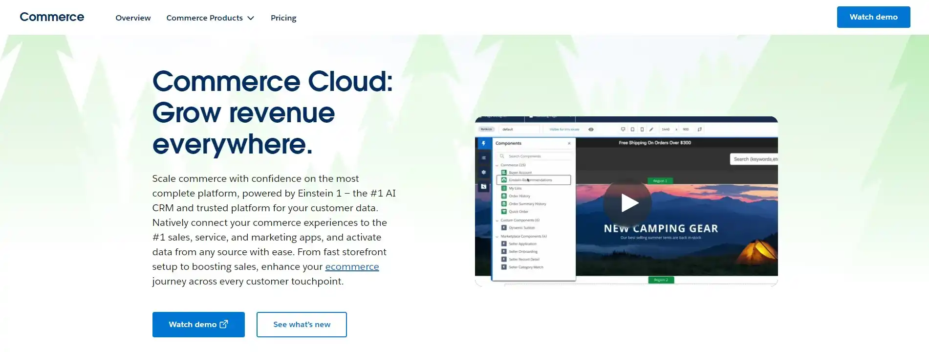 Salesforce Commerce Cloud website