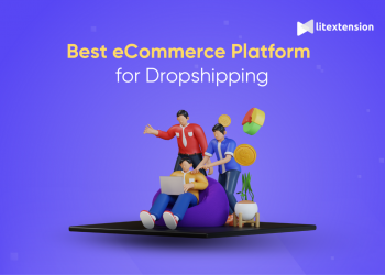 Best eCommerce platform for dropshipping