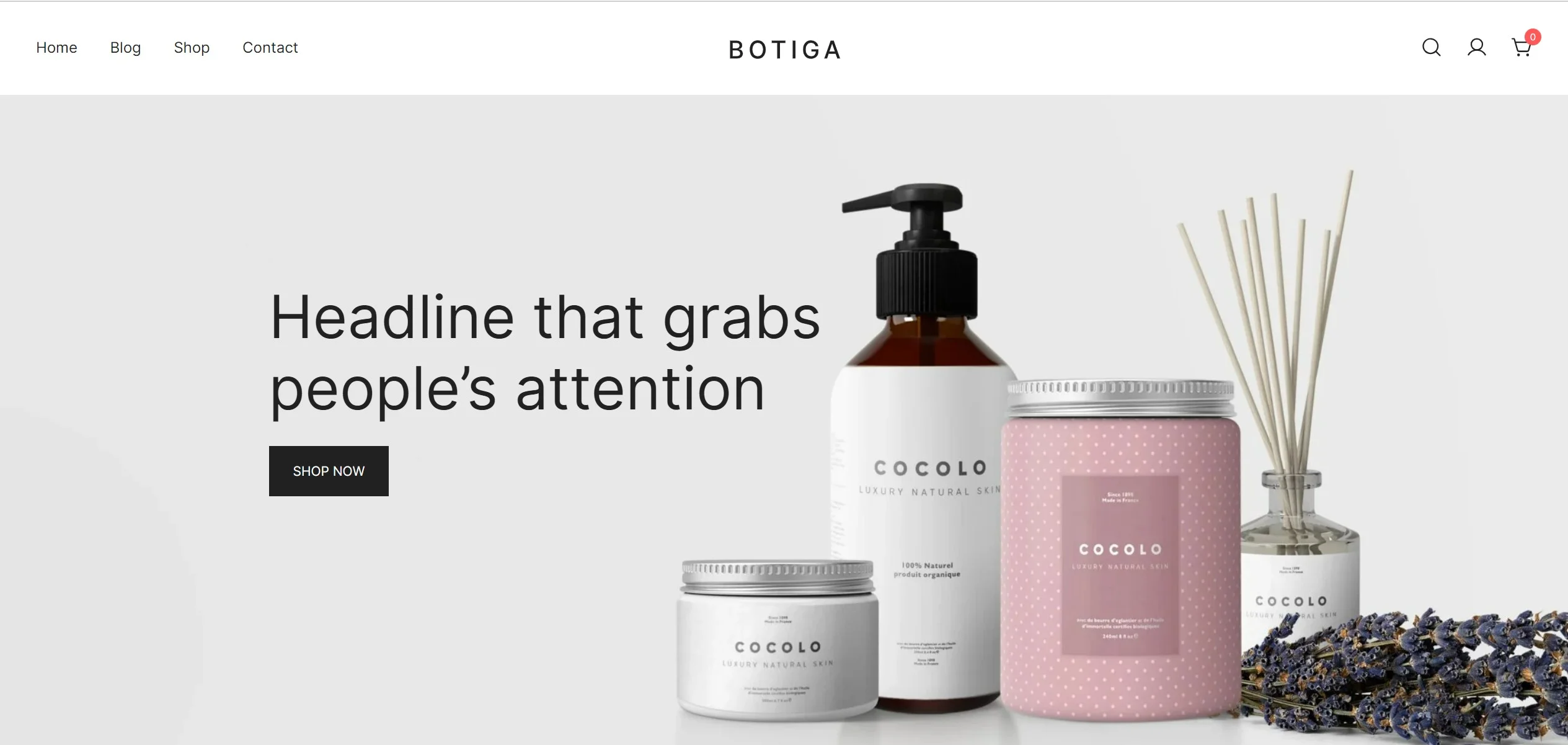 Botiga demo store