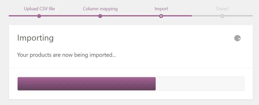 How to import products to WooCommerce run the importer