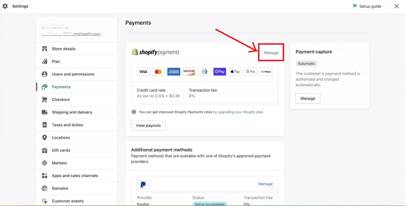 Manage Shopify Payments to payment test mode