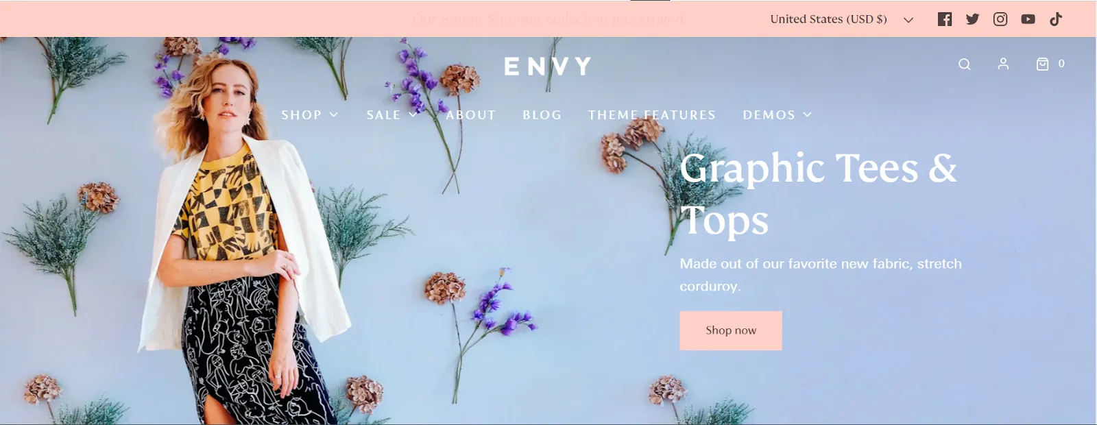 Best premium Shopify themes Envy