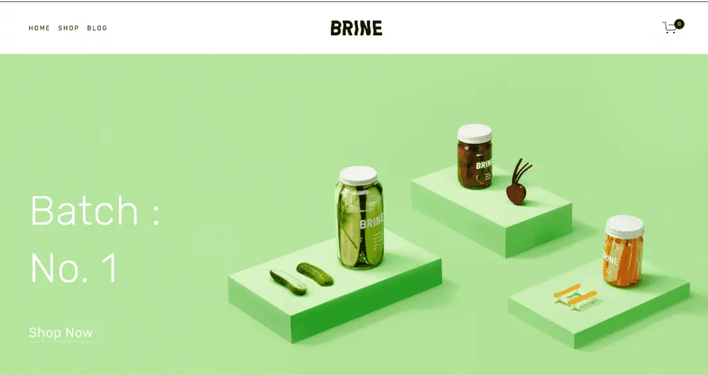 squarespace-vs-wordpress-squarespace-template-brine