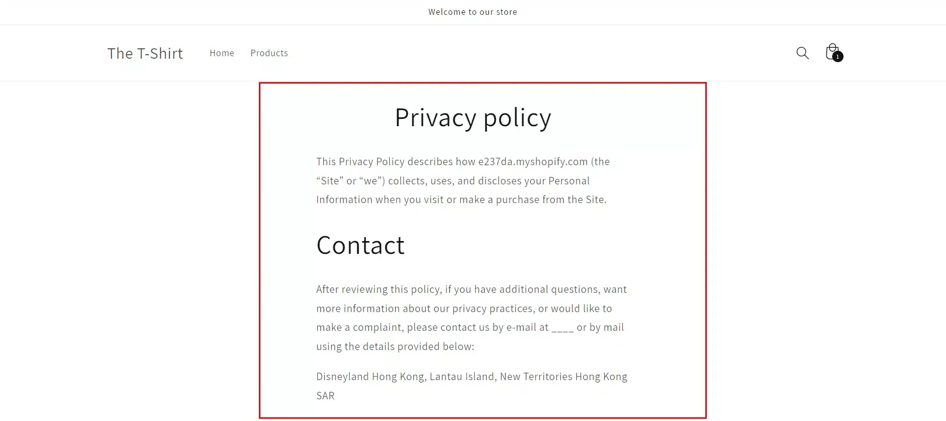 Privacy policy demo