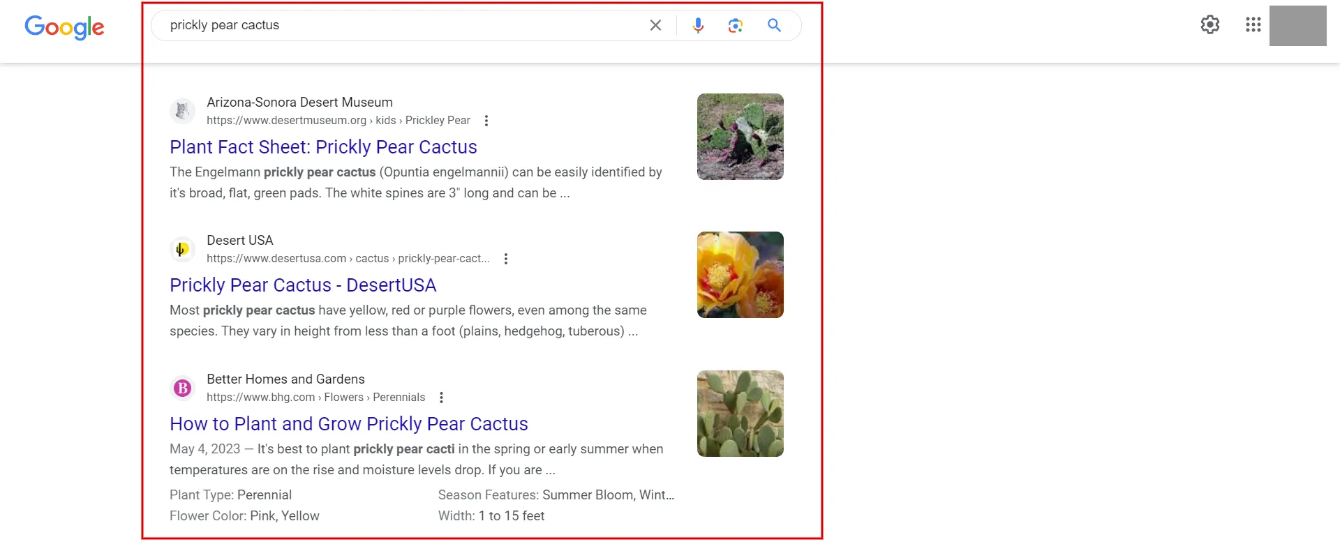 The SERPs related to explanation and care recommendations
