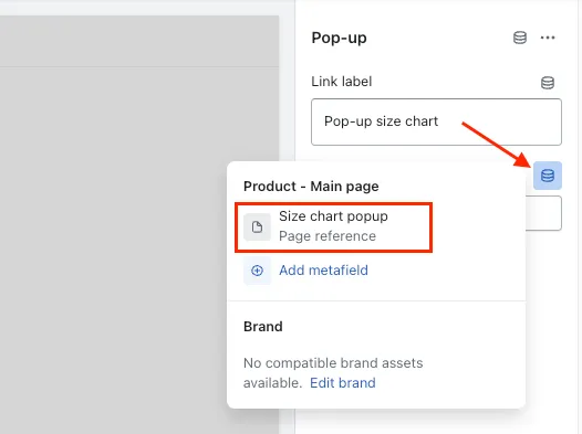 Assign the Metafields to Size chart pop-up block