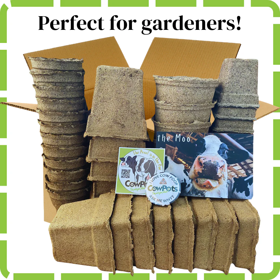 Biodegradable plant pots