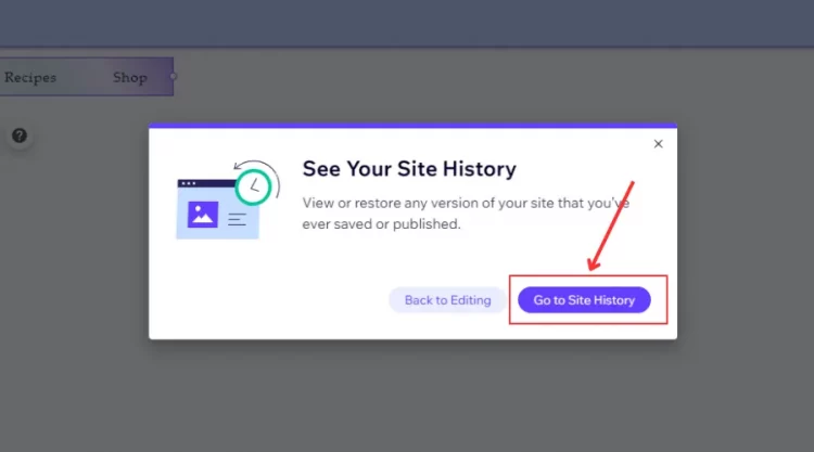 Click Go to Site History to open Site History tab
