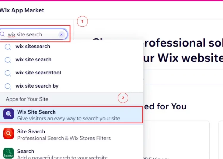 Enter Wix Site Search in Search box