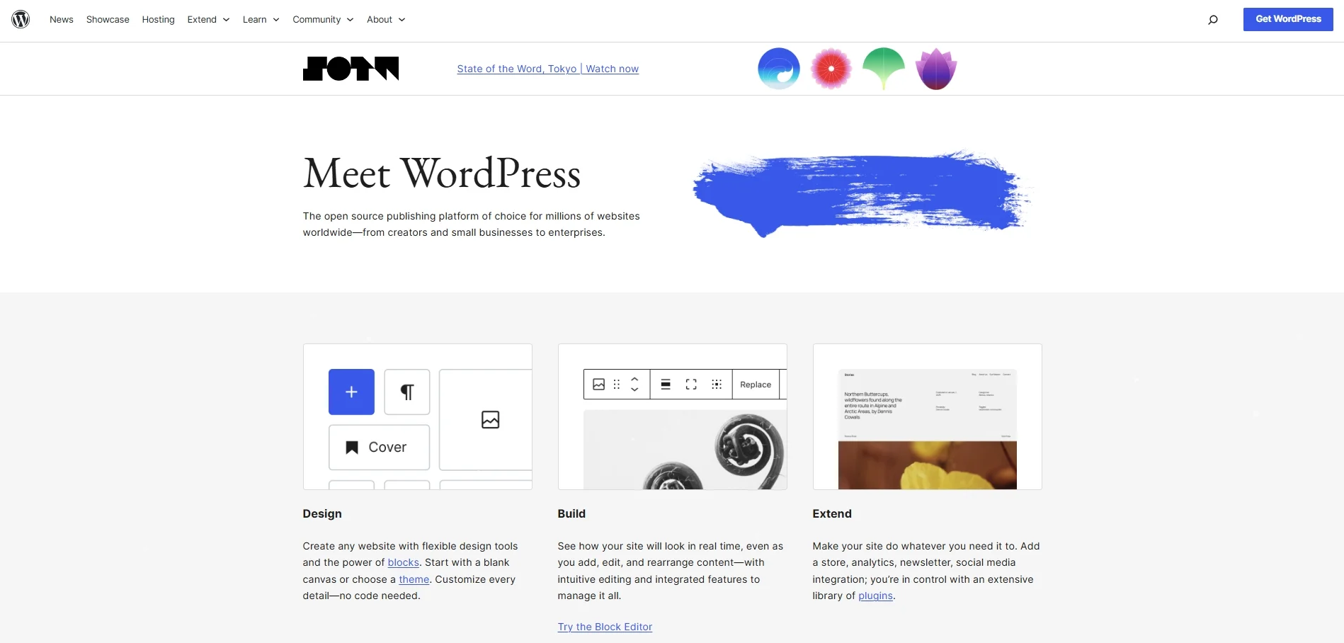 WordPress website