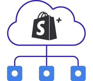 Shopify Plus data structure