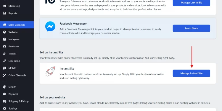 The sales channels section in dashboard of Ecwid