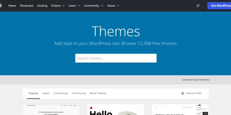 WordPress themes tab on website