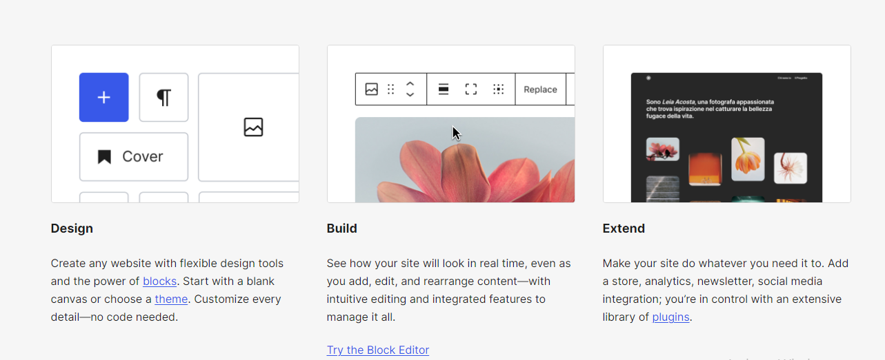 how-to-learn-wordpress-beginner