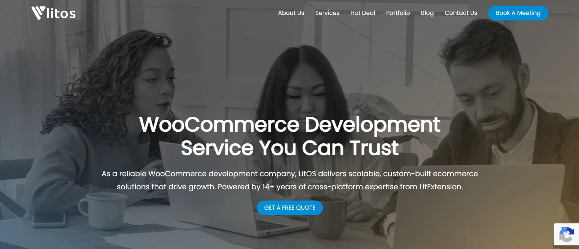 LitOS WooCommerce development service