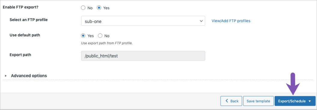 Step 5a: Export or schedule 