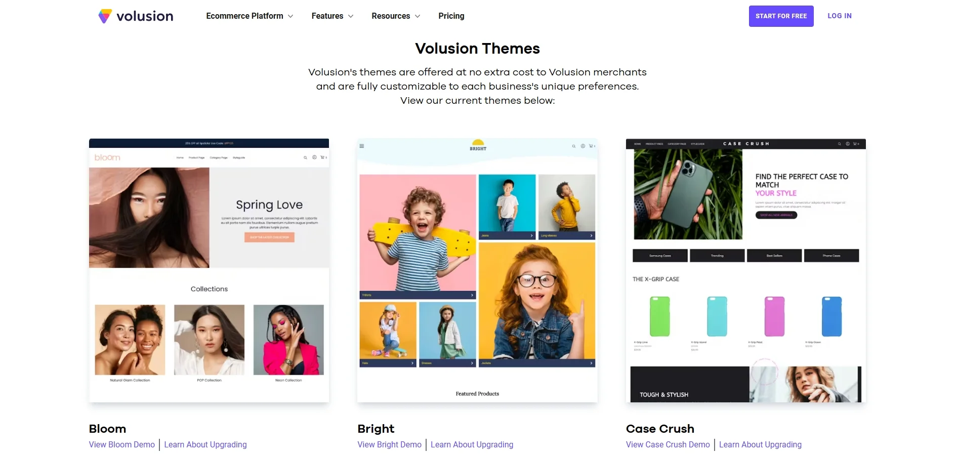 Volusion themes