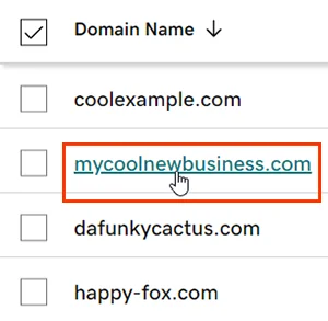 Select GoDaddy domain