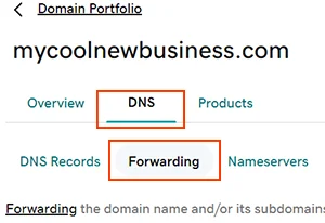 Select GoDaddy forwarding