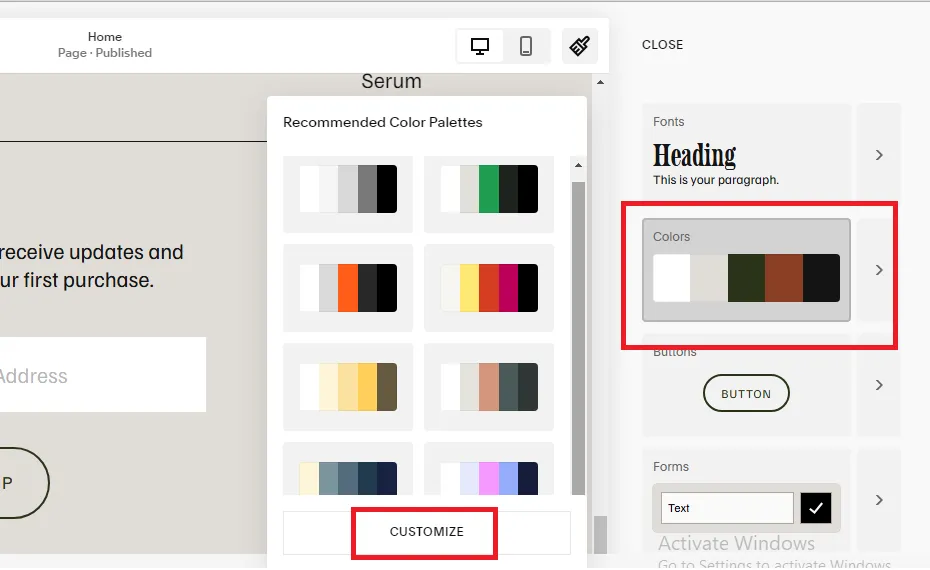 squarespace-change-template-71-step-3-colors