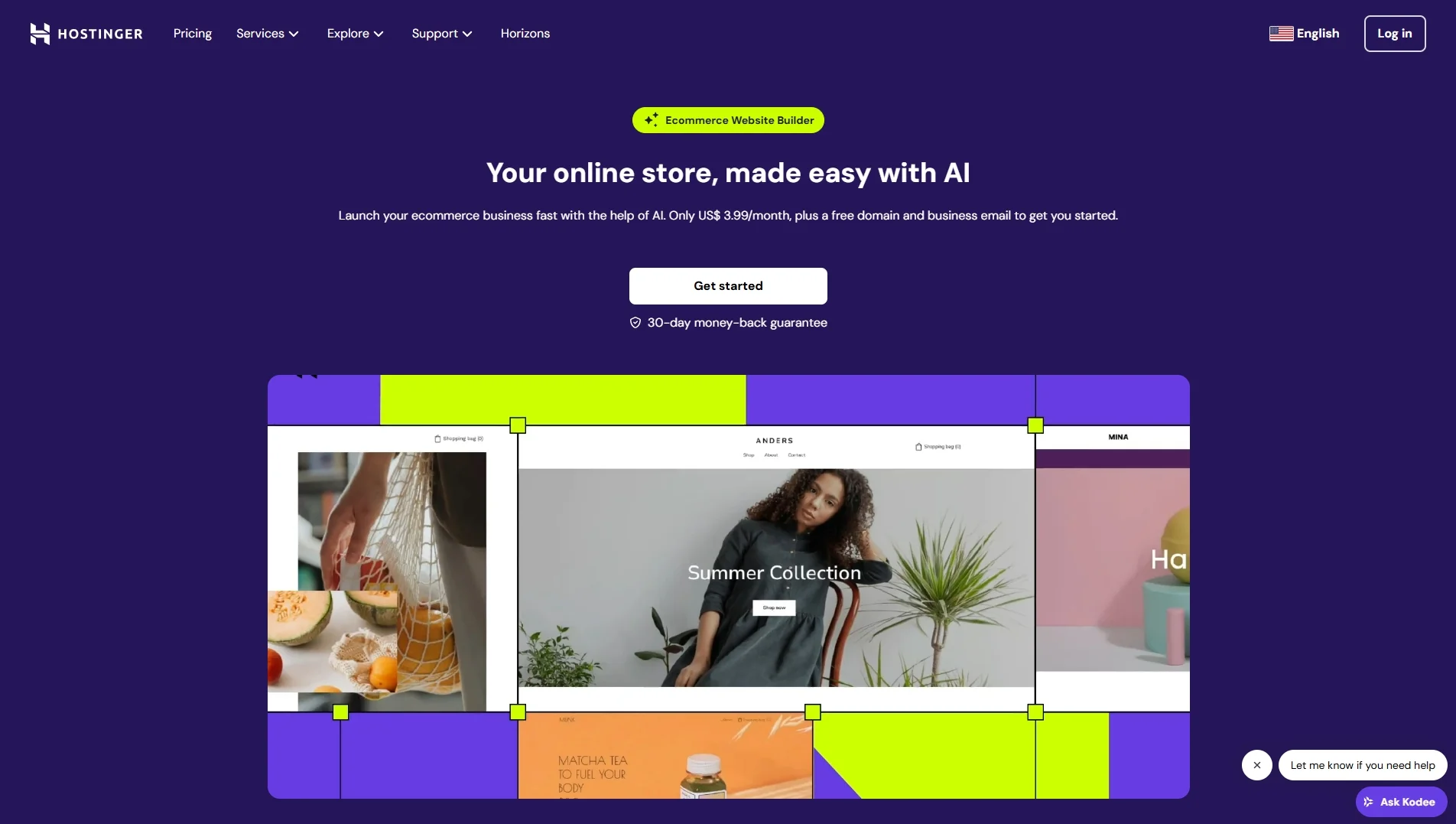 Hostinger website