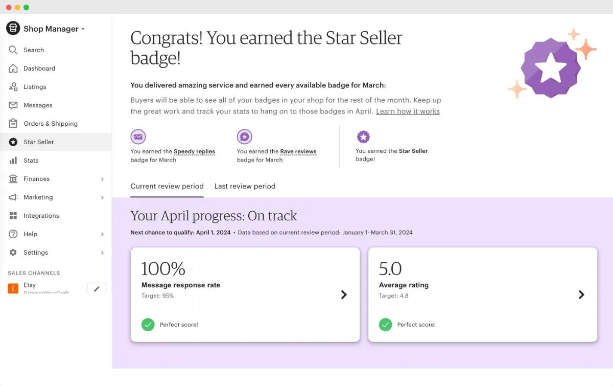 etsy-star-seller-program
