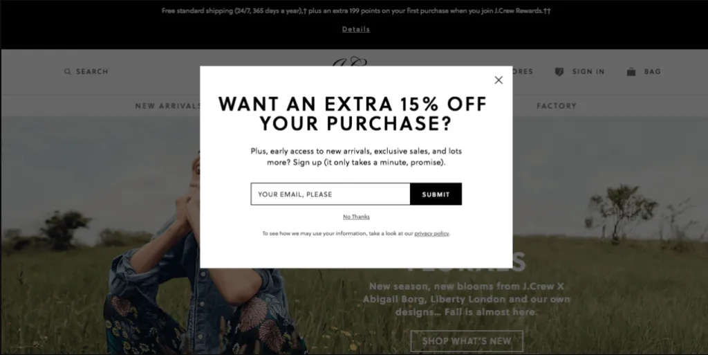 exit-intent-popup