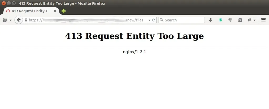 413-request-entity-error