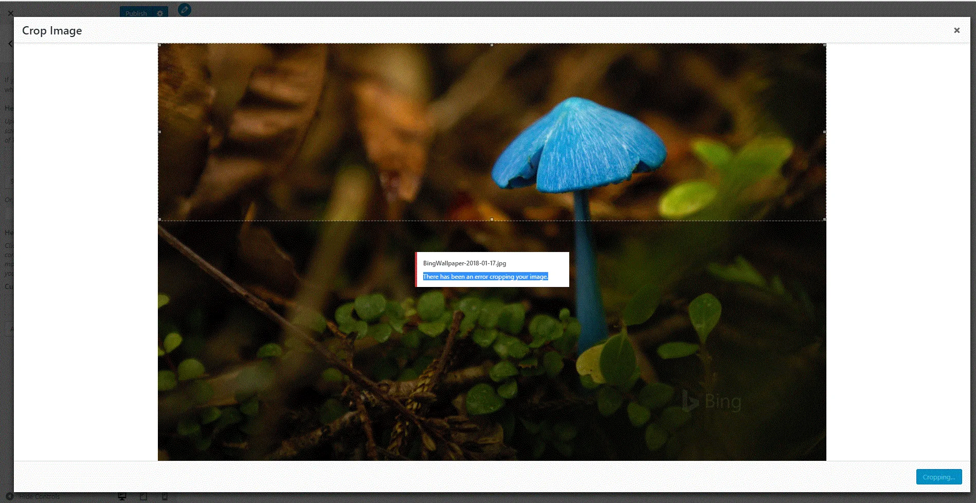 error-cropping-image