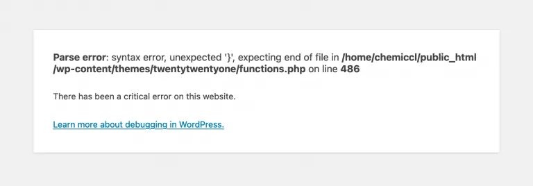 wordpress-syntax-errors