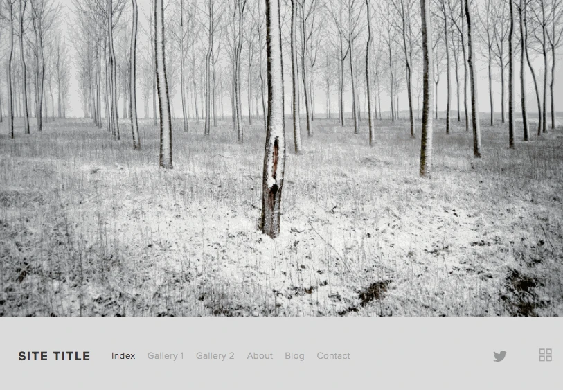 momentum-theme-squarespace