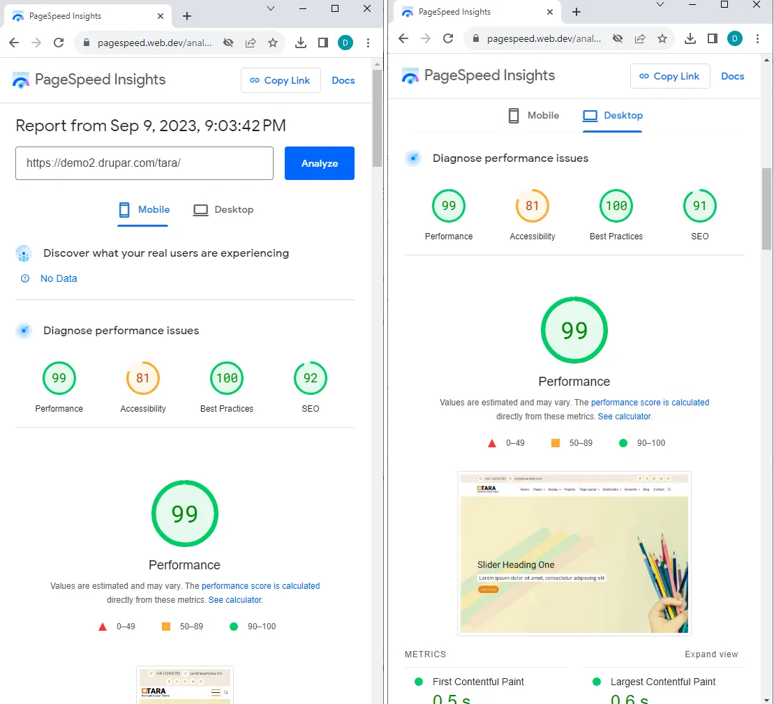 Tara theme website speed