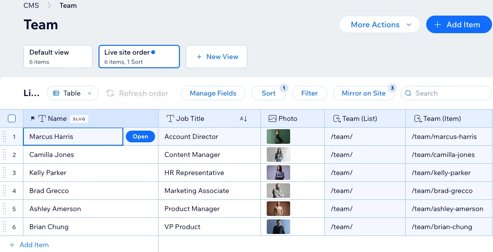 Team management on Wix CMS