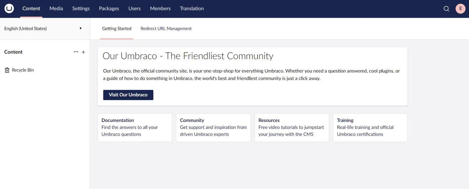 2 umbraco backoffice dasboard