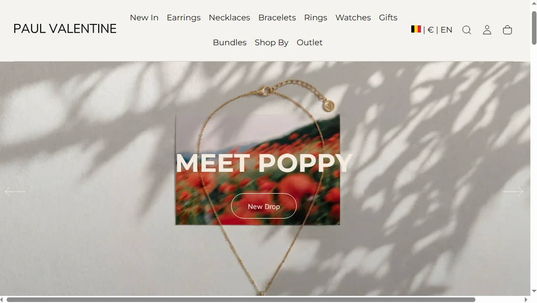 paul-valentine-shopify