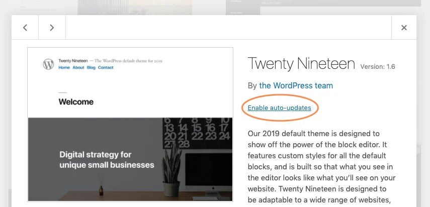 Enable auto-updates for WordPress themes