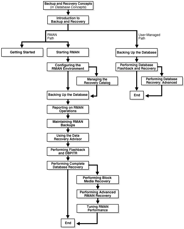 Oracle backup and recovery roadmap