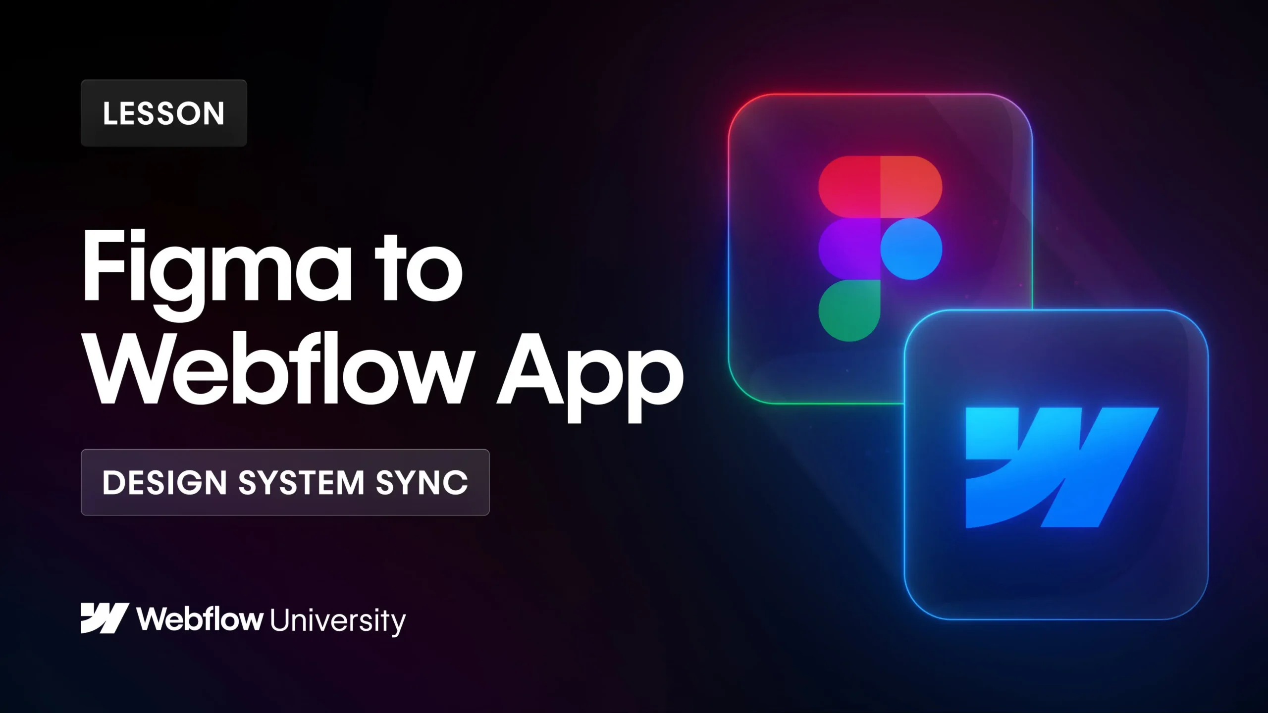 webflow-university