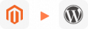 Magento to WordPress Migration
