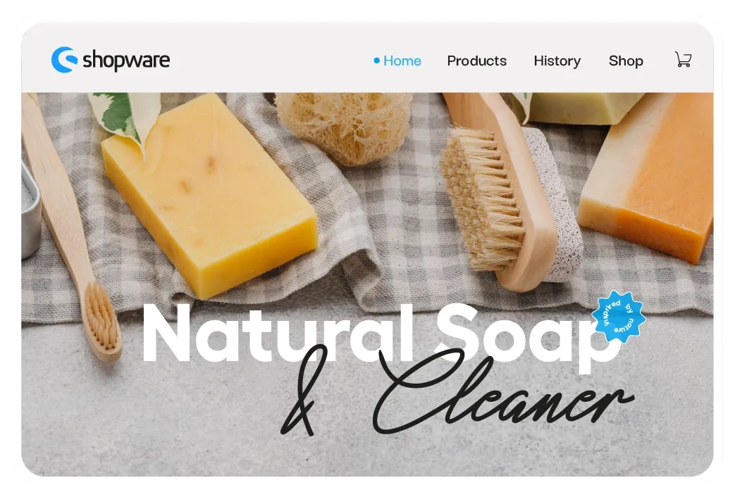xt:Commerce to Shopware