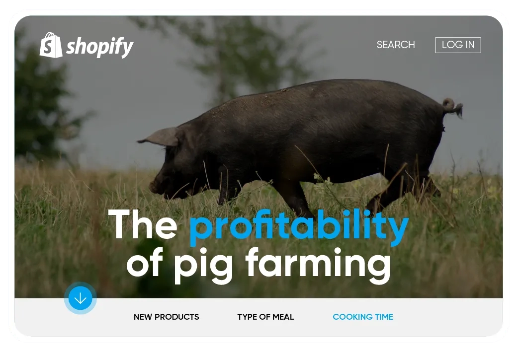 Weebly to Shopify