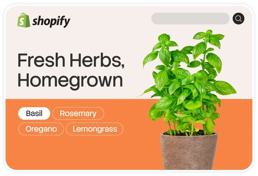 Custom Cart to Shopify