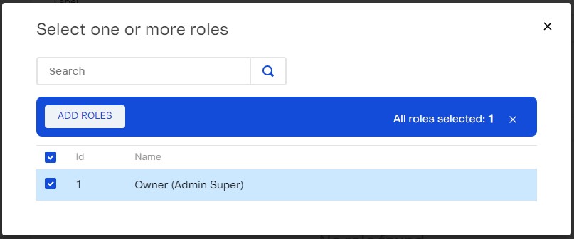 VTEX owner role
